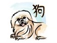 The dog is the eleventh sign of the Chinese zodiac