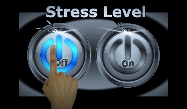 Stress and the Liver: Balance is Everything!